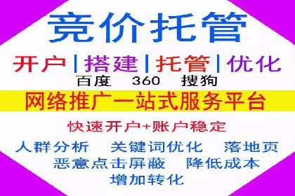 SEM推广案例：揭秘高ROI背后的策略与实践